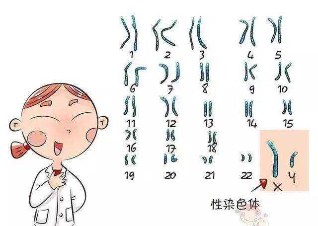 广州做供卵试管多少岁最适合做试管婴儿