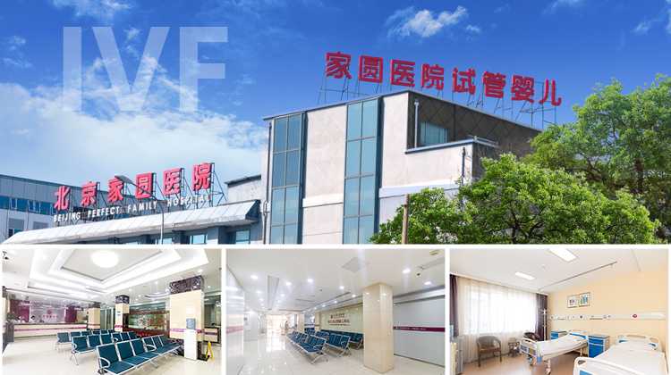 北京专业代怀孕,北京朝阳医院做二代试管婴儿成功率