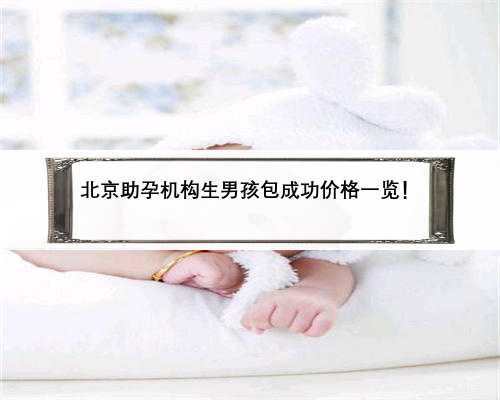 北京助孕机构生男孩包成功价格一览！