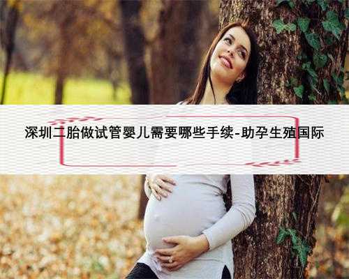 深圳二胎做试管婴儿需要哪些手续-助孕生殖国际